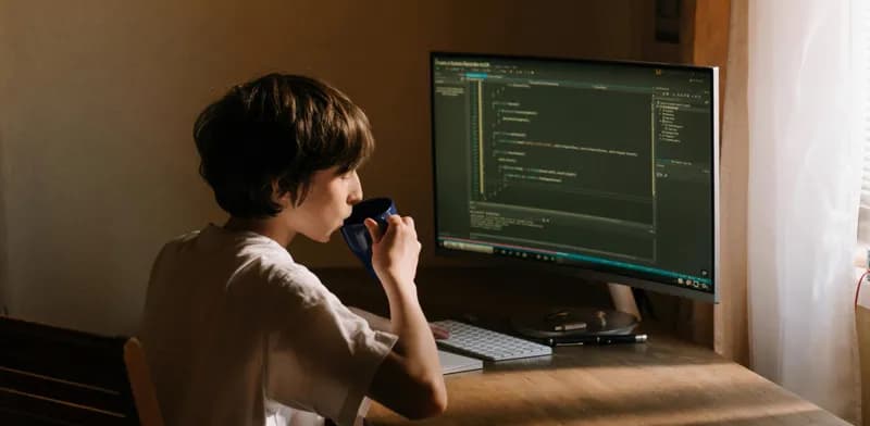 Web development showcase